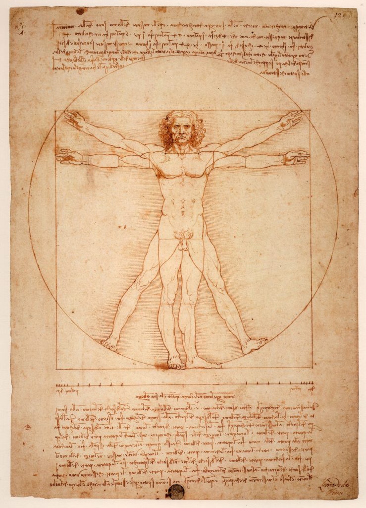 Vitruvian Man by Leonardo da Vinci